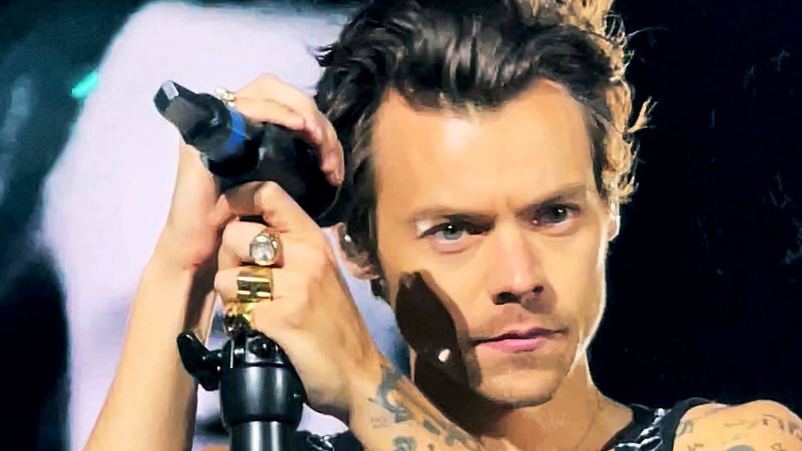Harry Styles Surprises Fans at Meltdown Festival With Rare Songs & Covers