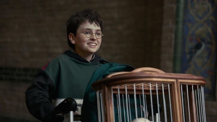 8 Best TV Shows Arriving in the Second Half of 2026